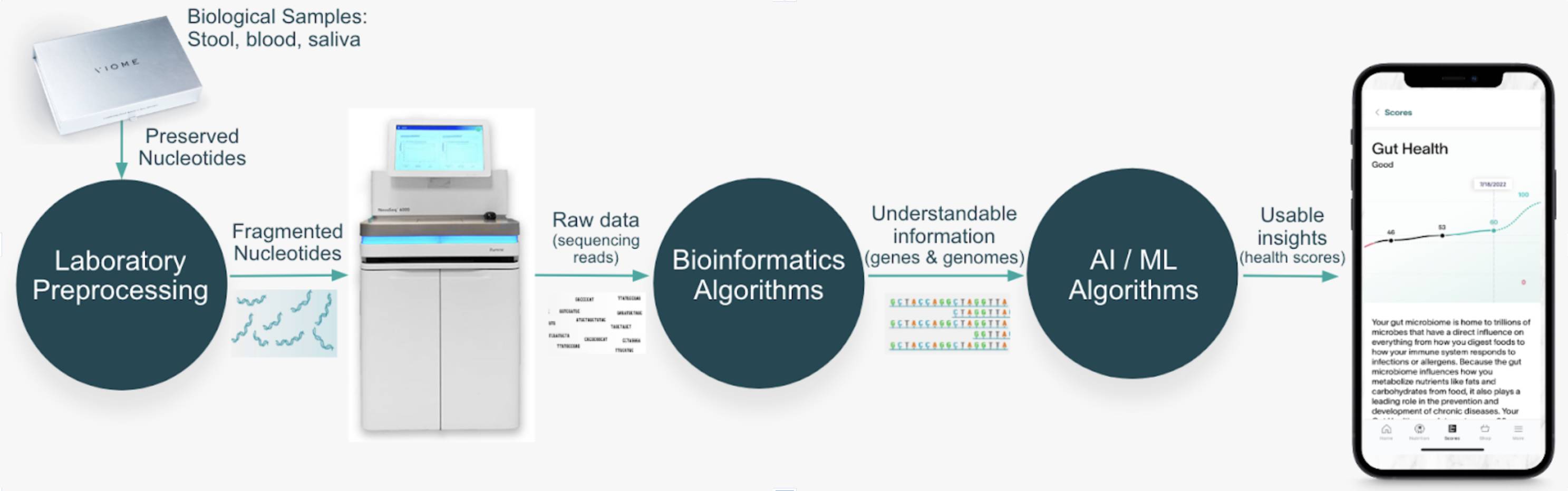 biological-data-to-molecular-pathways-to-health-insights