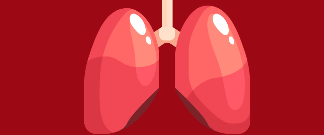 An illustration of a pair of lungs – Viome Oral Health Intelligence Test