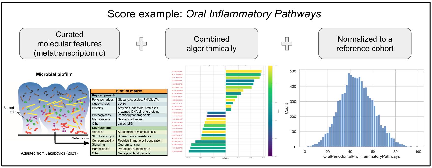 Score example oral inflammatory