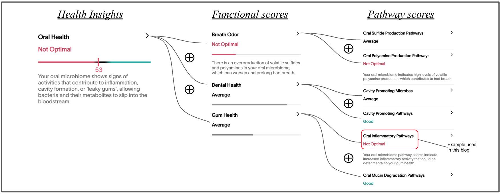 Health functional pathway scores