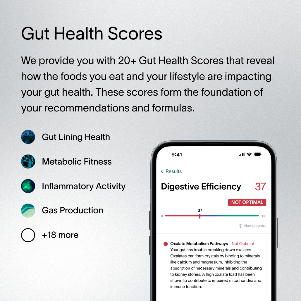 A description of Viome Health Scores, how they work as a comprehensive gut health analysis, and how they assess functions related to digestion, inflammation, nutrient absorption, gut lining health, microbial diversity, and more